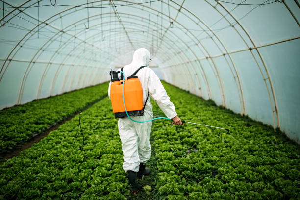 Reliable Rossmoor, NJ Pest Control Solutions
