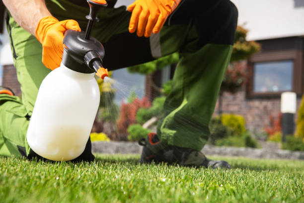 Best Emergency Pest Control  in Rossmoor, NJ