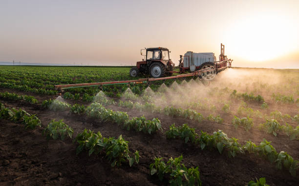 Best Commercial Pest Control Services  in Rossmoor, NJ