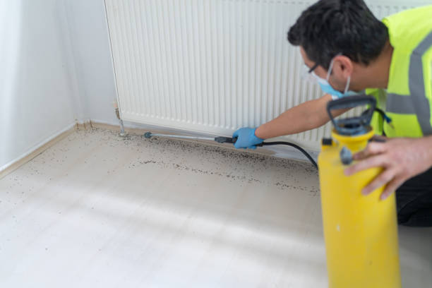 Best Pest Inspection Near Me  in Rossmoor, NJ