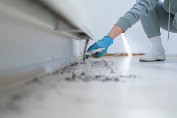 Best Pest Control Near Me  in Rossmoor, NJ
