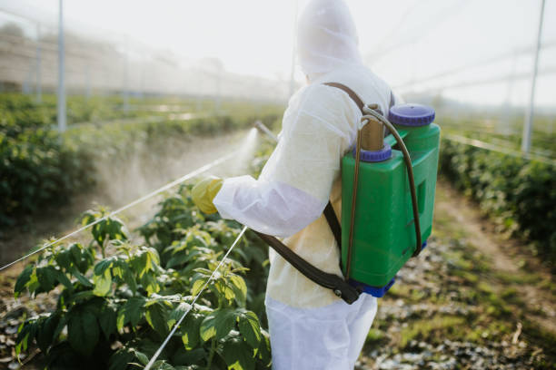 Best Wildlife Control Services  in Rossmoor, NJ